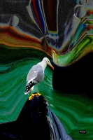 Vignette 44++Charme_et_Tempete.jpeg 