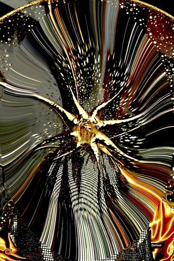 Diapositive 27++Deambulations.jpeg 