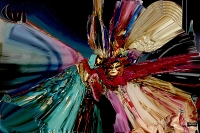 Vignette 14++Deambulations.jpeg 