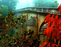 Vignette 05++Doubs_brouillard.jpeg 