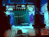 Vignette 03++Jeux-eau.jpeg 