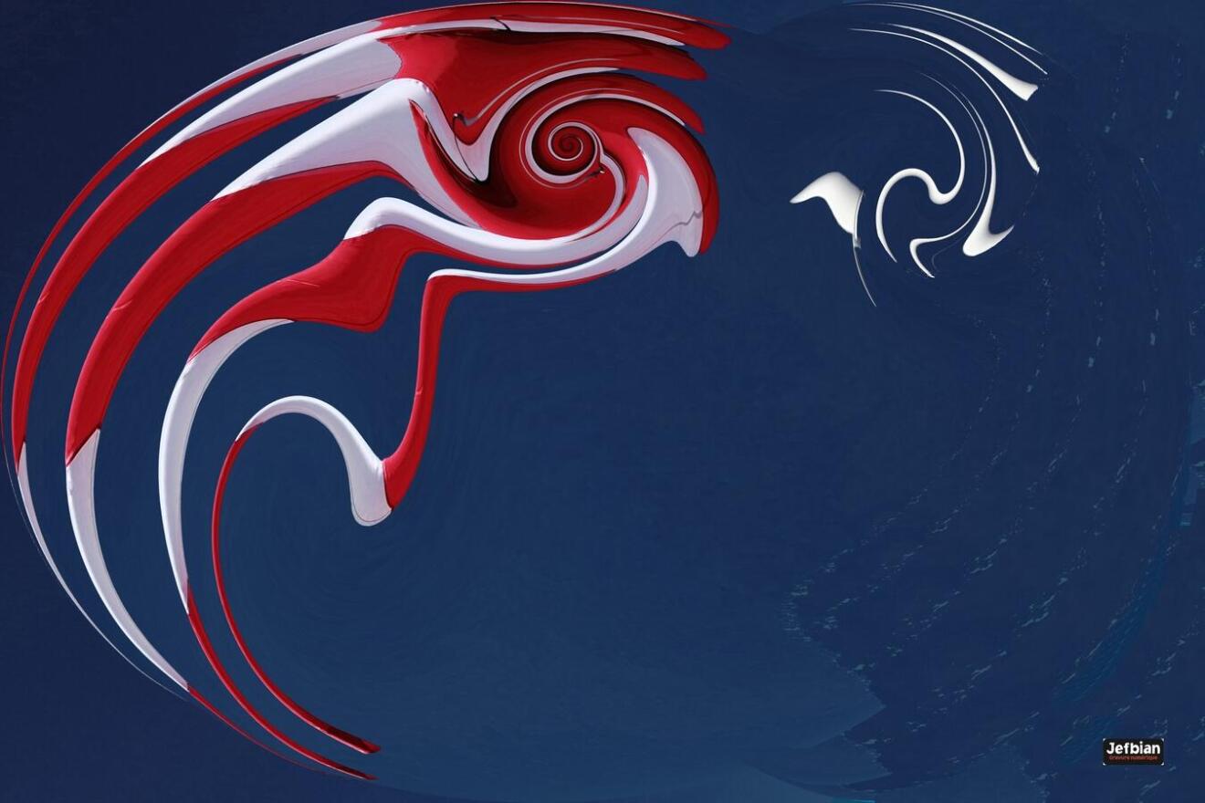 Diapositive 18++Manche_a_vent.jpeg 