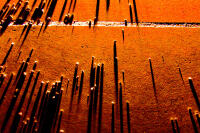 Vignette 10++Terracotta.jpeg 