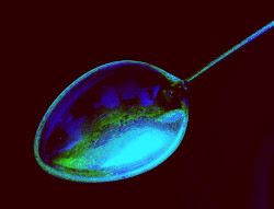 Ouvrir la sous-galerie Cuillère 