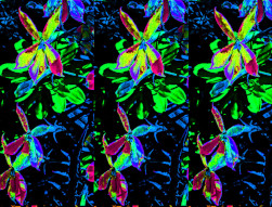 Ouvrir la sous-galerie Feuilles et fleurs 