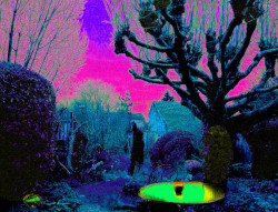 Ouvrir la sous-galerie Allons au jardin 