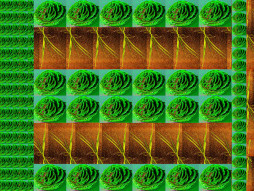 Ouvrir la sous-galerie Noyau 